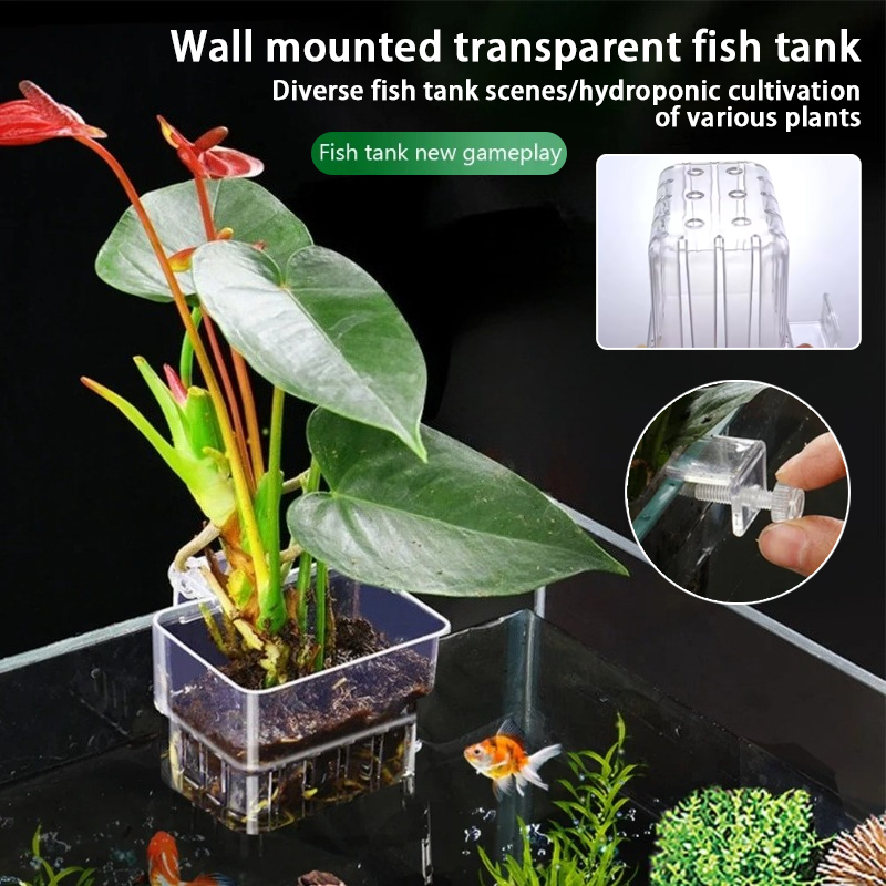 Hanging Planter Basket - Macetas Colgantes para Acuario, Soporte de