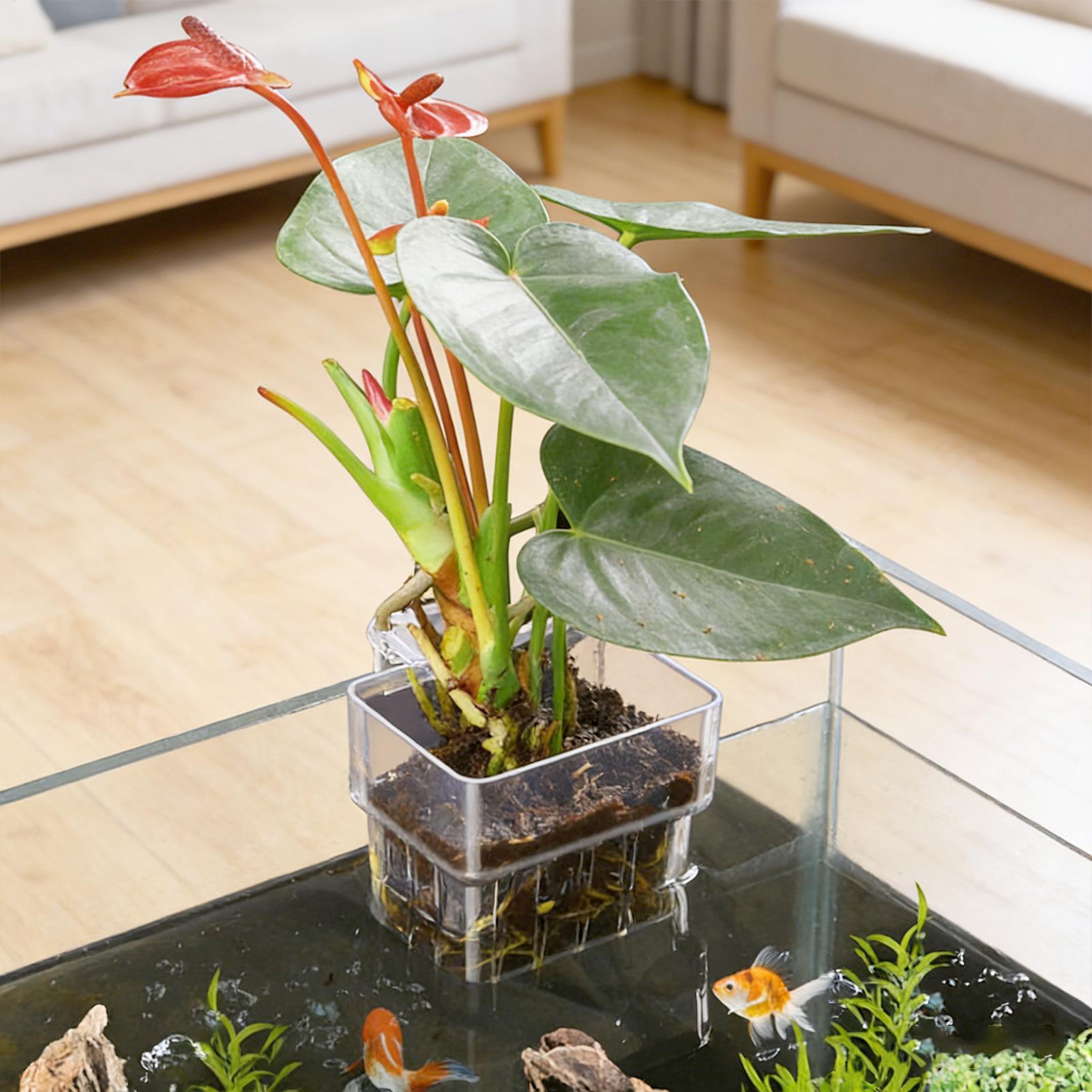 Hanging Planter Basket - Cesta para Plantas de Acuario, Decoración