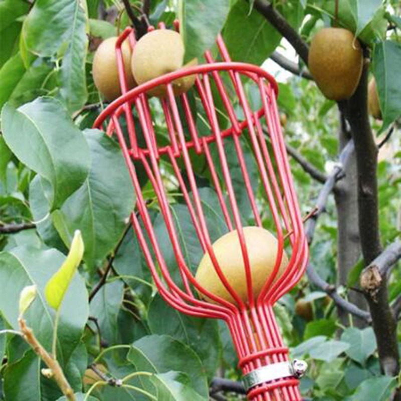 Gardening Tools Basket - Cabezal Recolector de Frutas Profundo Portátil