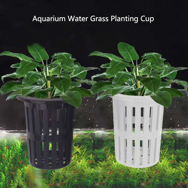 Hanging Planter Basket - Cesta para plantas de acuario, macetero