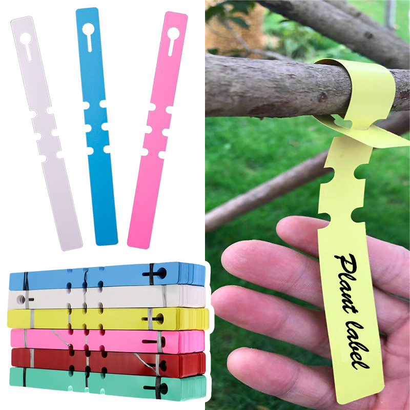 50 Uds. Marcadores de plantas  - Gardening Tools Labeled reseña y precio