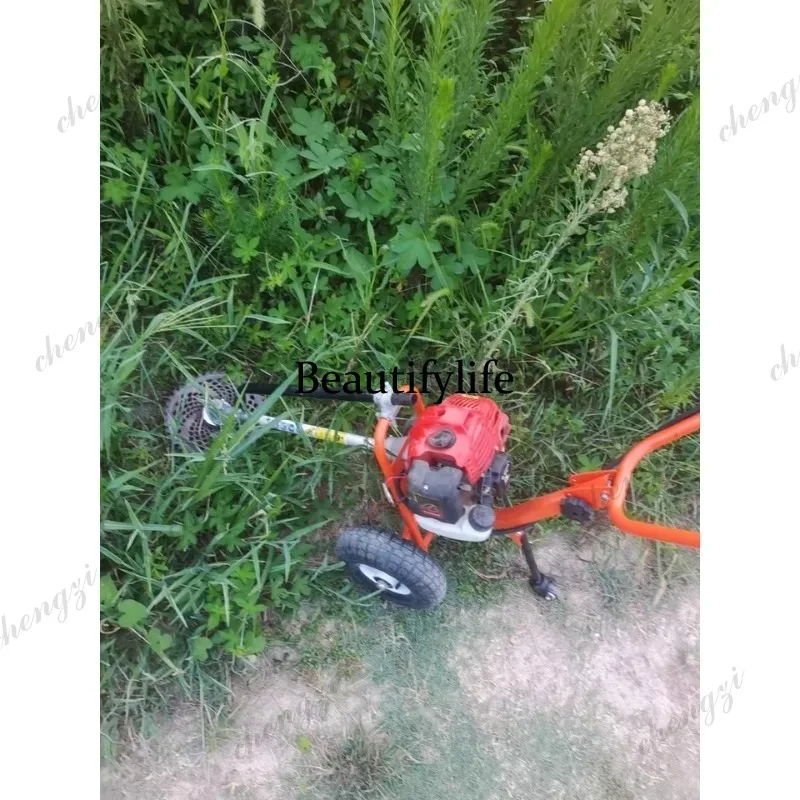 Cortadora de césped manual L17 - Gardening Tools Equipment reseña y precio