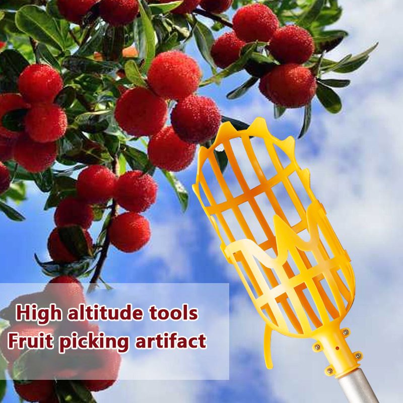 Herramienta de recolección de  - Gardening Tools Basket reseña y precio
