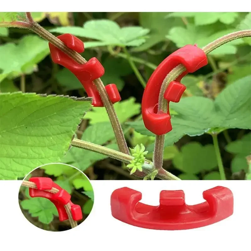 10-100 Piezas de Clips para Do - Gardening Tools Lowes reseña y precio
