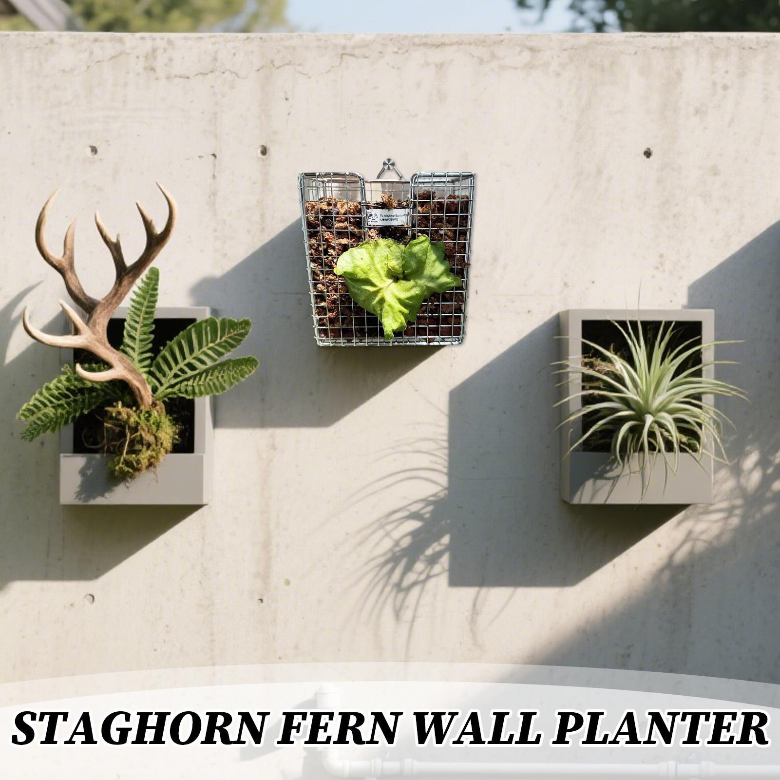 Kit de montaje de helecho Stag - Hanging Planter Basket reseña y precio