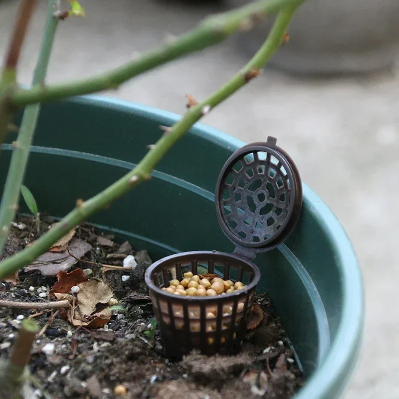 100 Pc plástico jardín bonsái  - Gardening Tools Basket reseña y precio