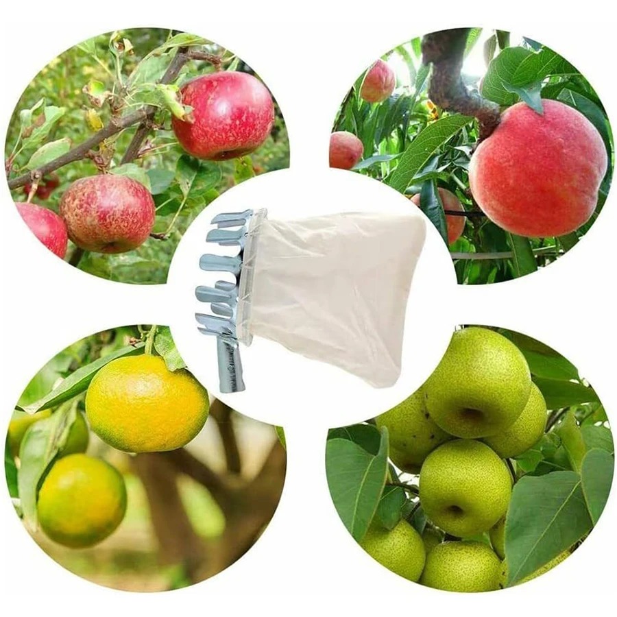 Cesta Robusta para Recoger Fru - Gardening Tools Basket reseña y precio