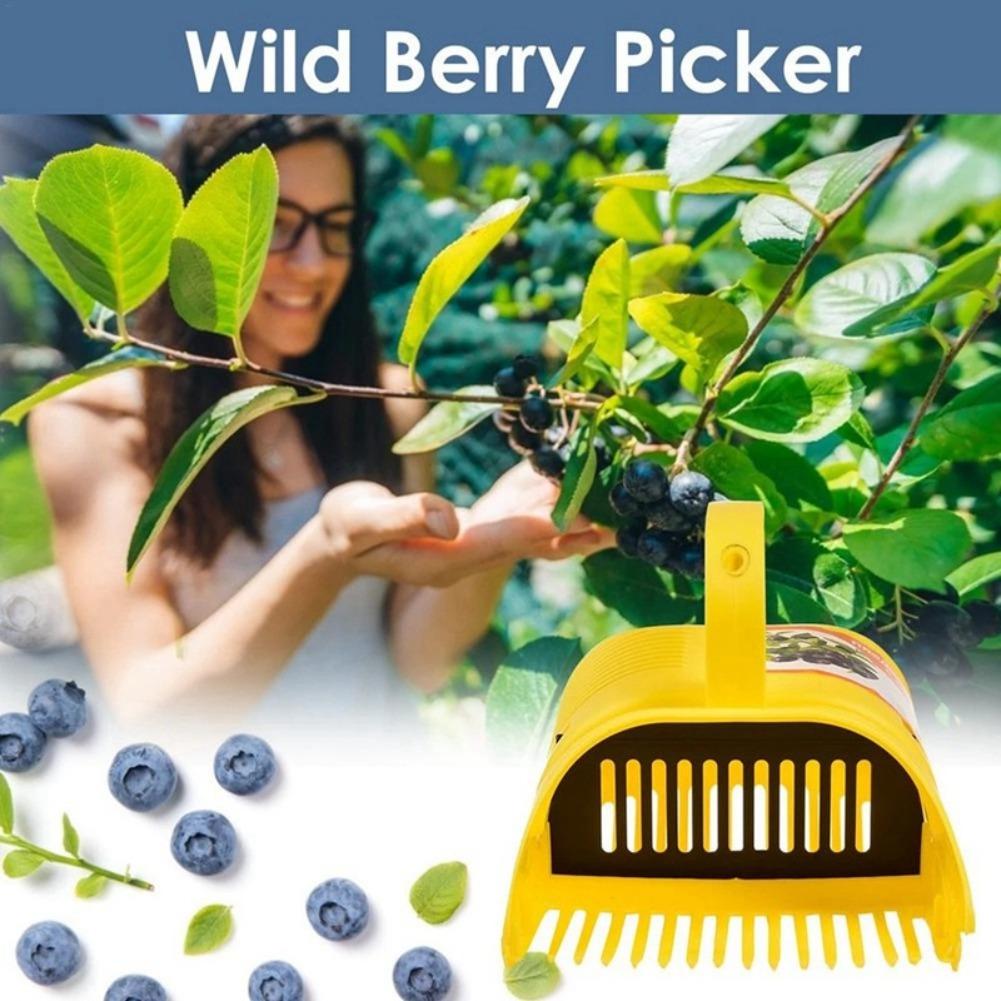 Herramienta Portátil para Reco - Gardening Tools Basket reseña y precio