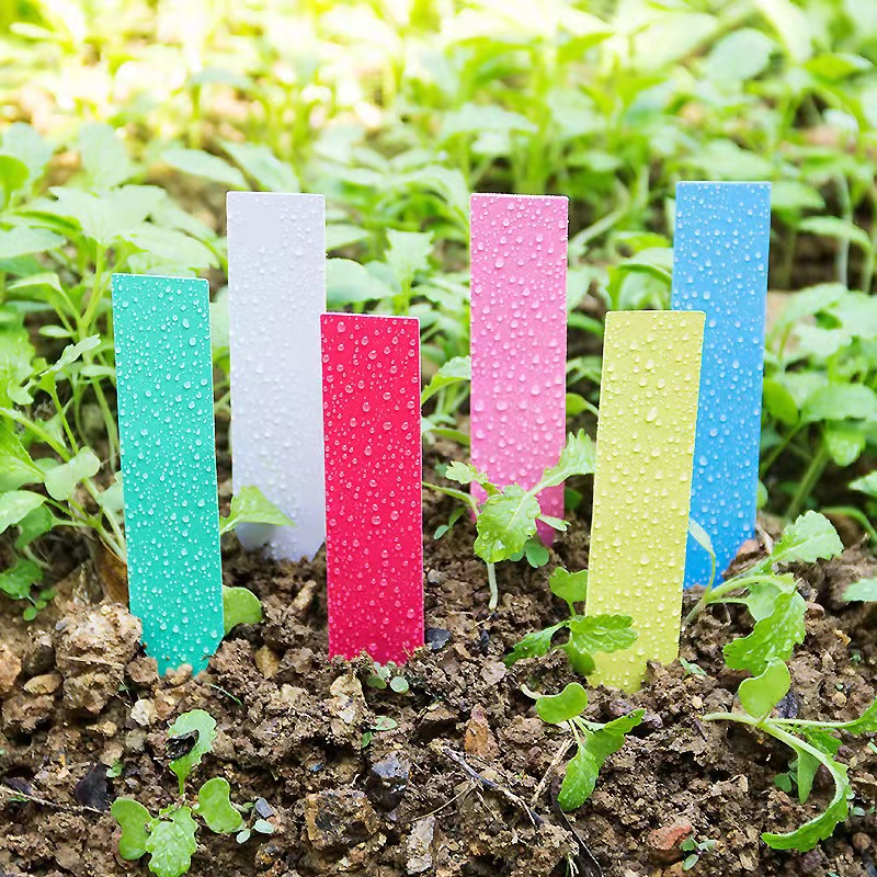 100 Uds. Etiquetas para planta - Gardening Tools Labeled reseña y precio