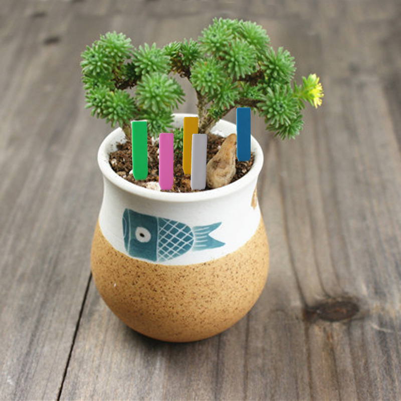 100 Uds. Etiquetas para planta - Gardening Tools Labeled reseña y precio