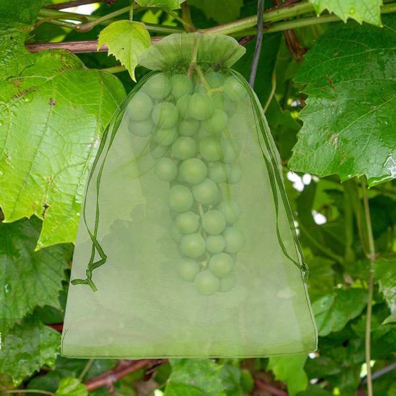Bolsas de protección para frut - Gardening Tools Store reseña y precio