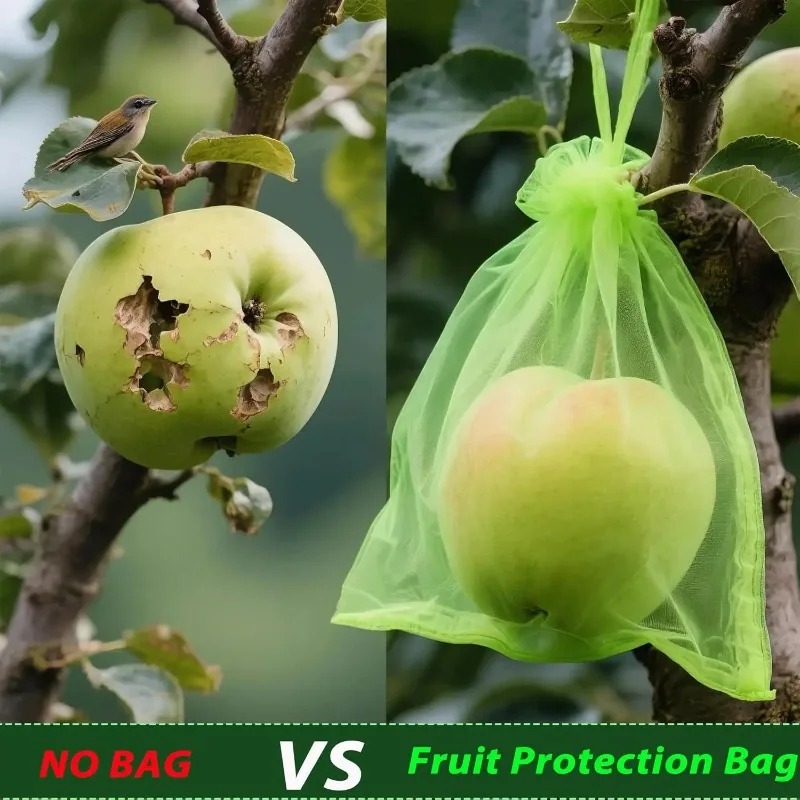 Bolsas de protección para frut - Gardening Tools Store reseña y precio