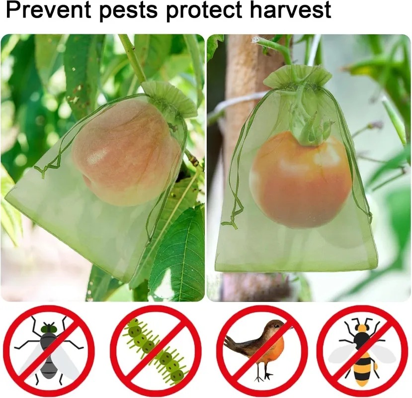 Bolsas de protección para frut - Gardening Tools Store reseña y precio