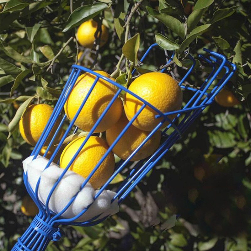 Cabezal Recolector de Frutas P - Gardening Tools Basket reseña y precio