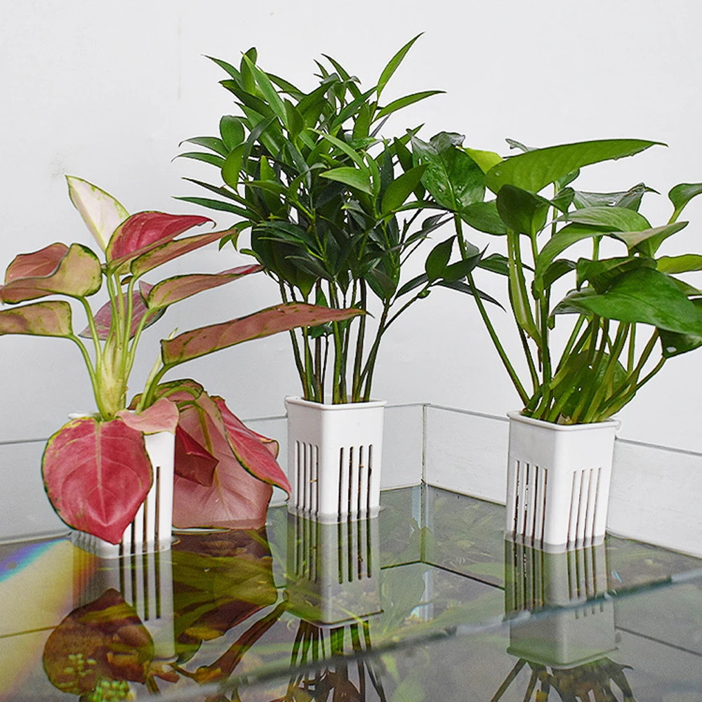 Macetas hidropónicas para acua - Hanging Planter Basket reseña y precio