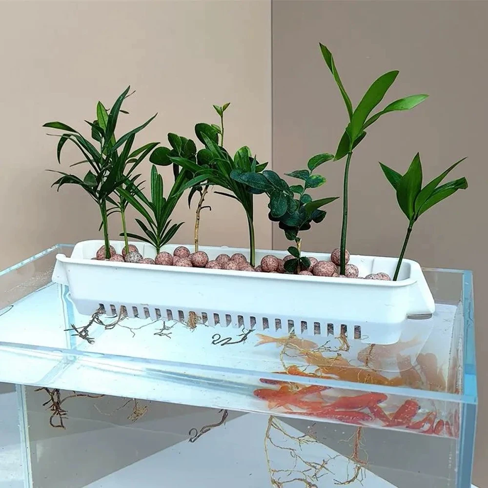 Macetas hidropónicas para acua - Hanging Planter Basket reseña y precio