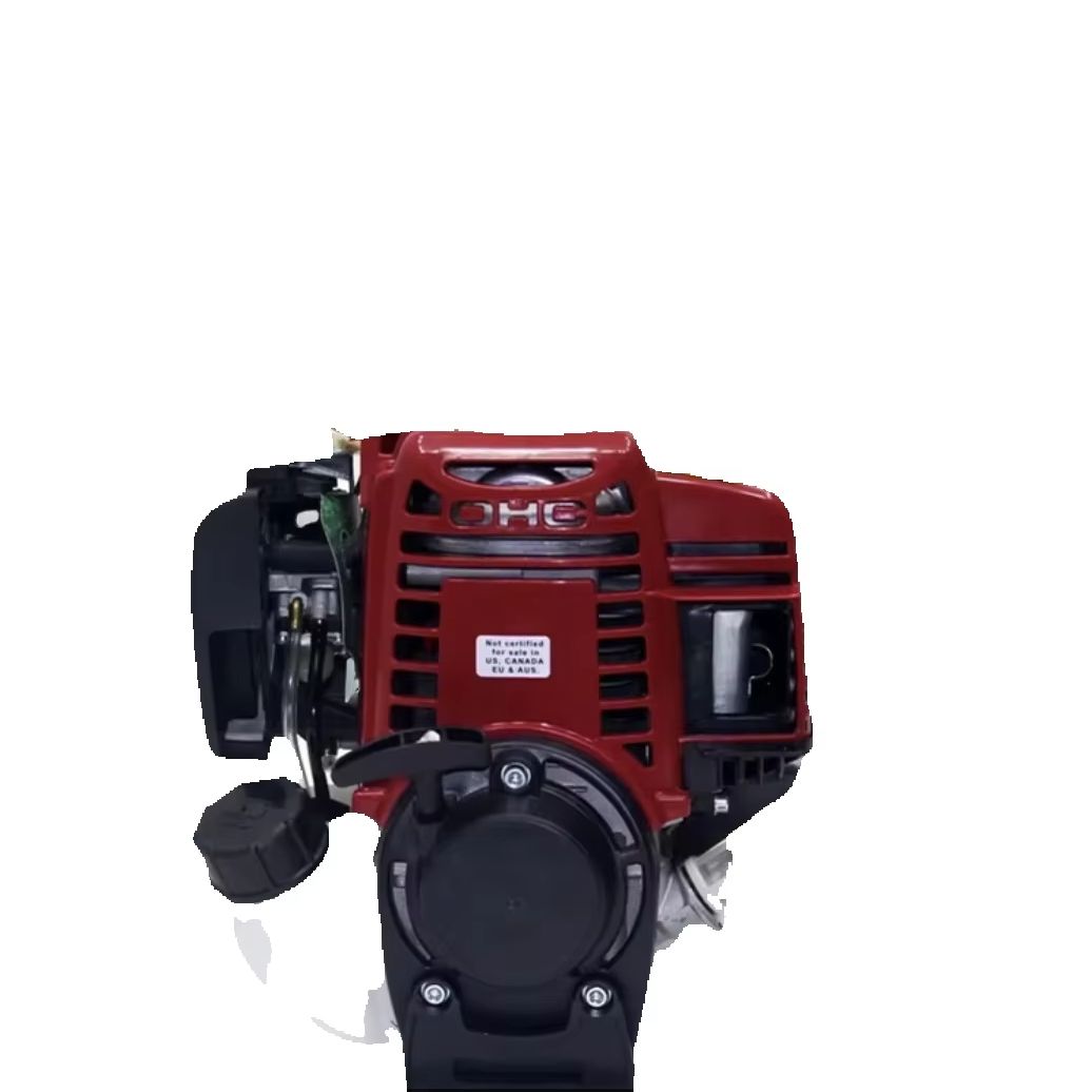 Motor de Gasolina Potente de 1 - Gardening Tools Equipment reseña y precio