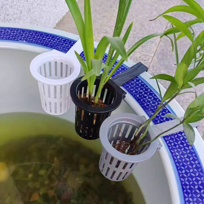 Cesta para plantas de acuario, - Hanging Planter Basket reseña y precio