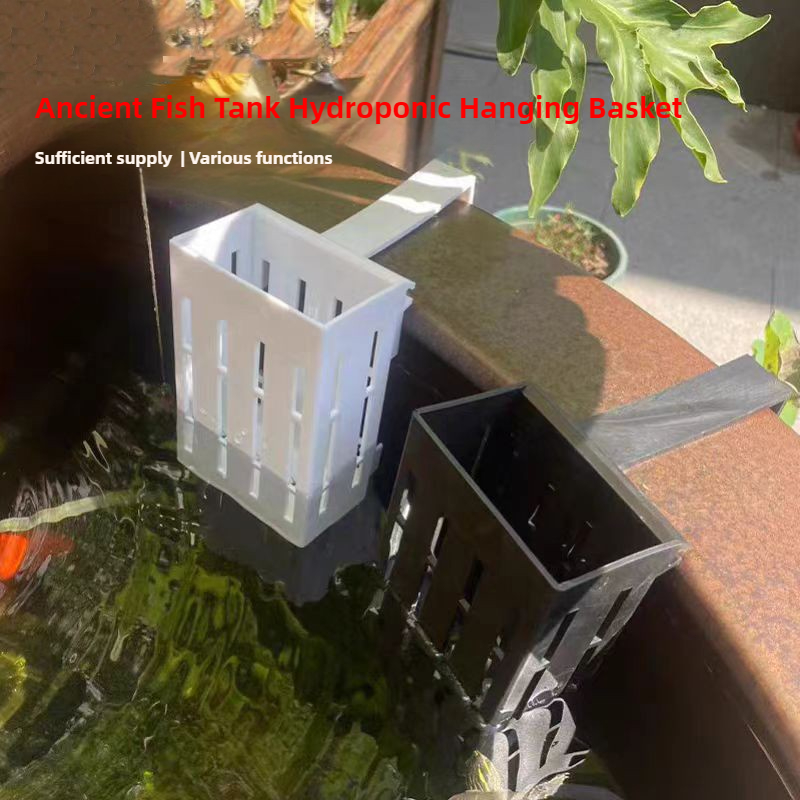 Cesta para plantas de acuario, - Hanging Planter Basket reseña y precio