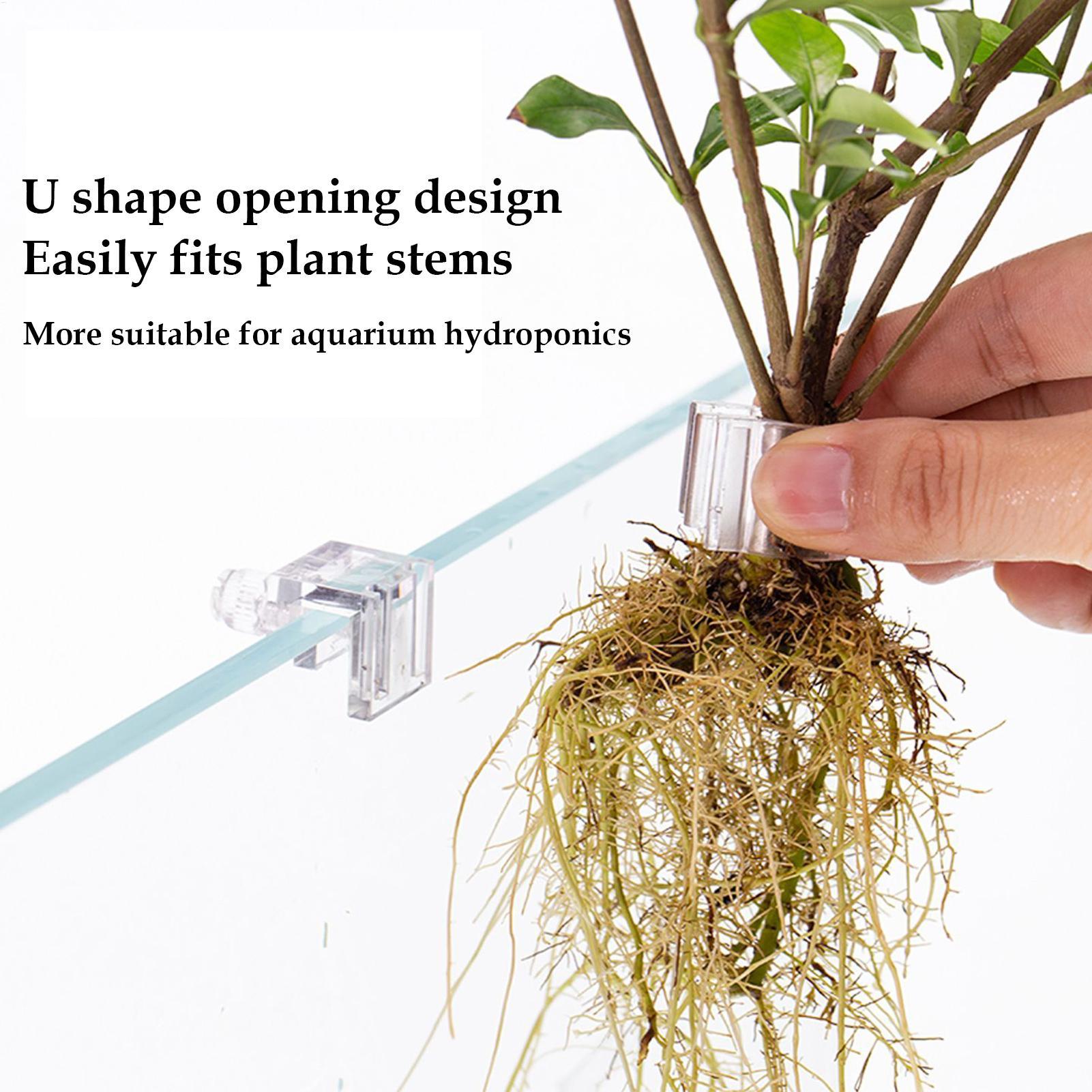 Cesta para Plantas de Acuario, - Hanging Planter Basket reseña y precio
