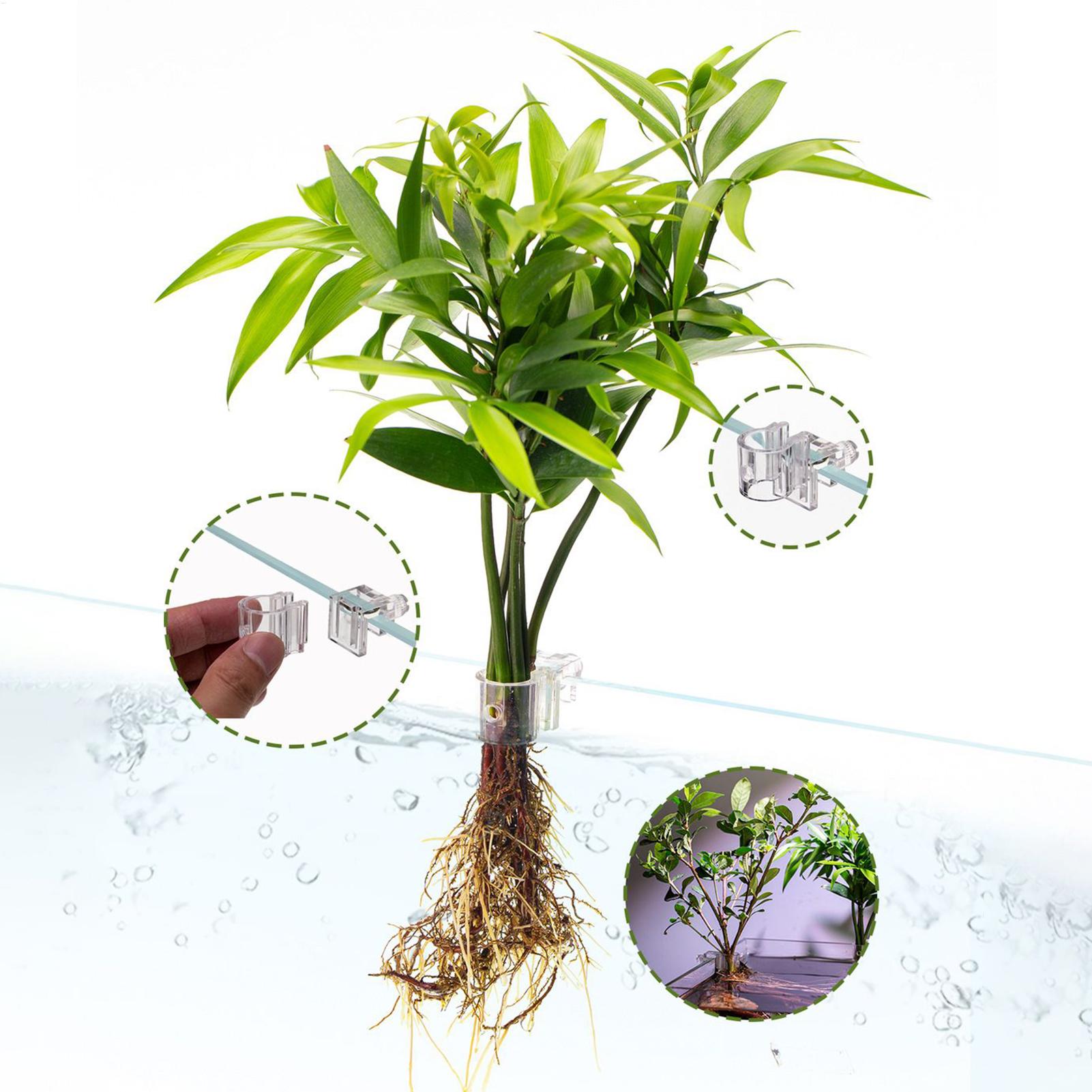 Cesta para Plantas de Acuario, - Hanging Planter Basket reseña y precio