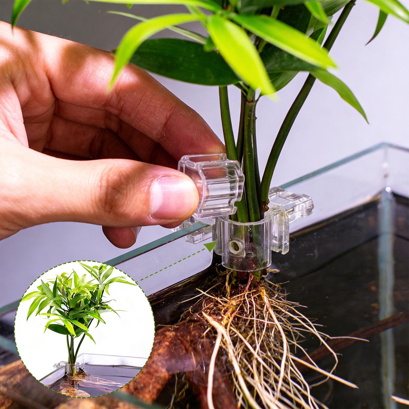 Cesta para Plantas de Acuario, - Hanging Planter Basket reseña y precio