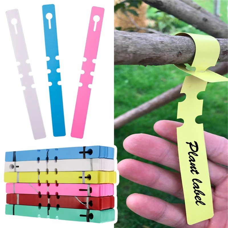 100-200 Piezas de Marcadores d - Gardening Tools Labeled reseña y precio