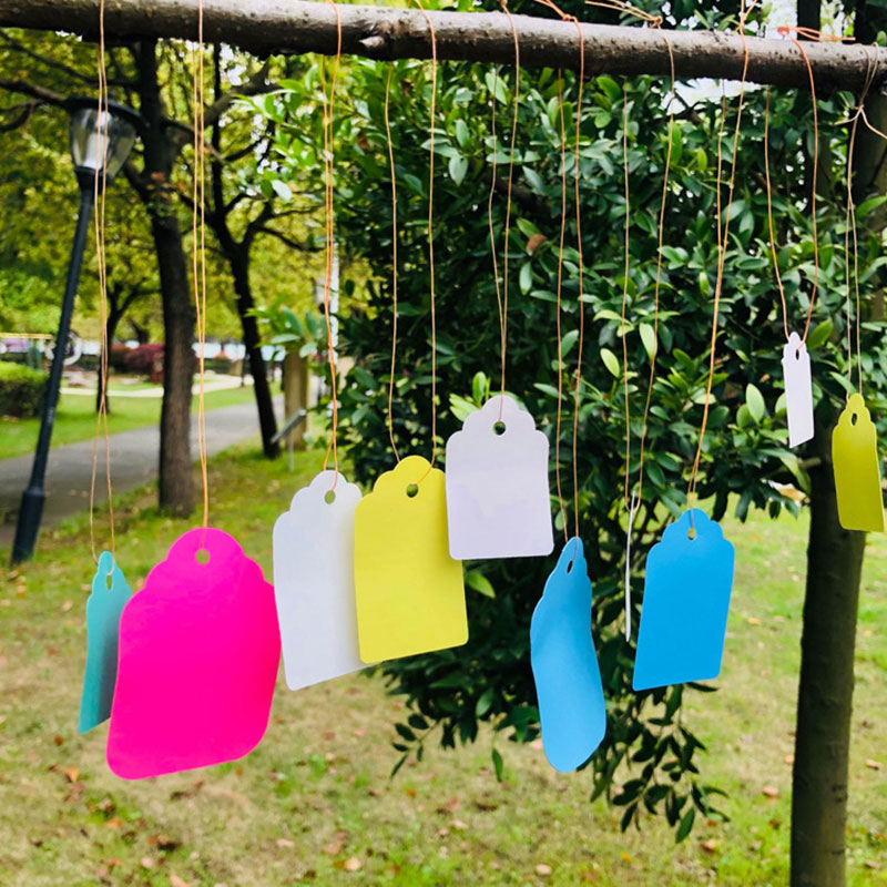 100 Uds. Etiquetas de plantas  - Gardening Tools Labeled reseña y precio