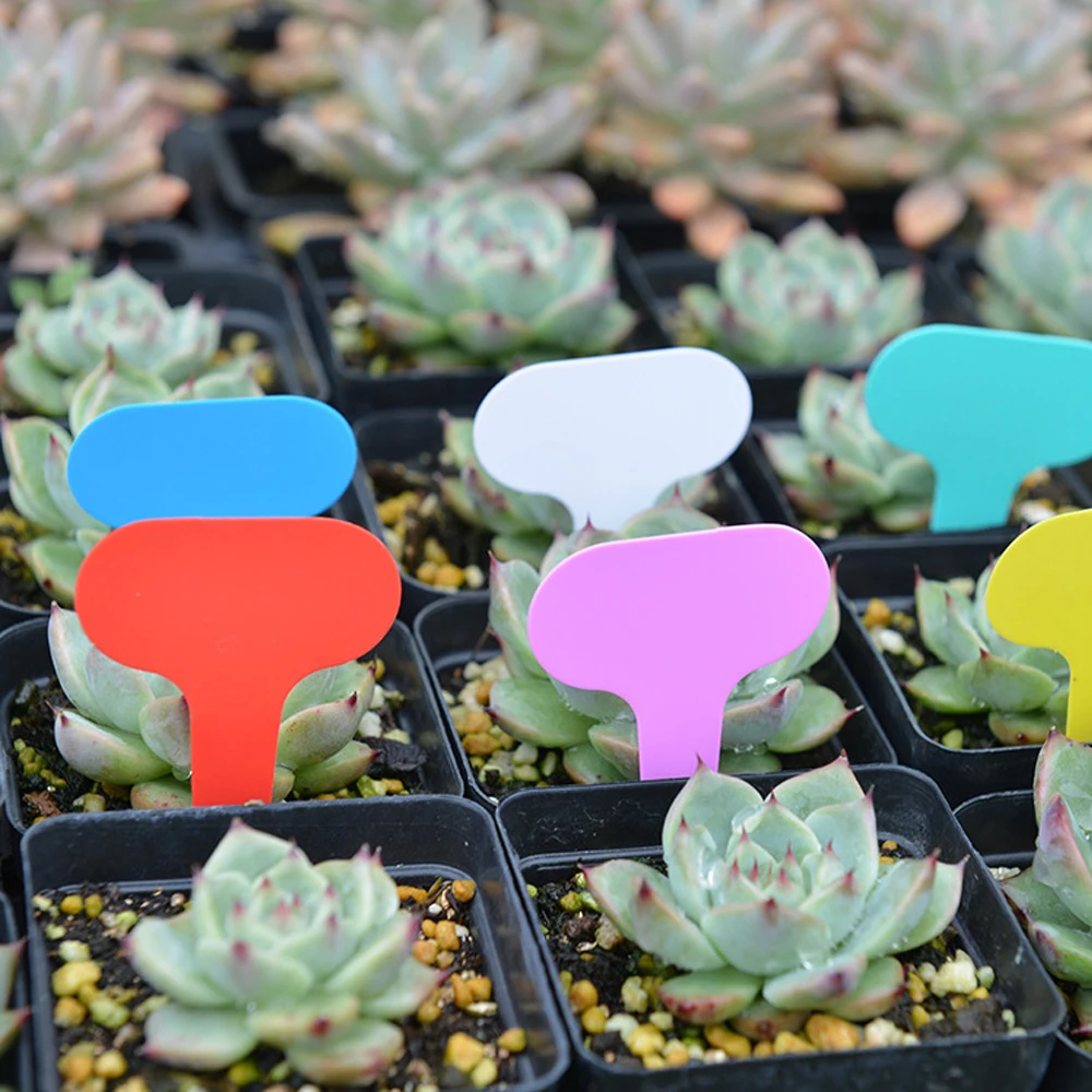 yes50PCS Etiquetas de Plástico - Gardening Tools Labeled reseña y precio