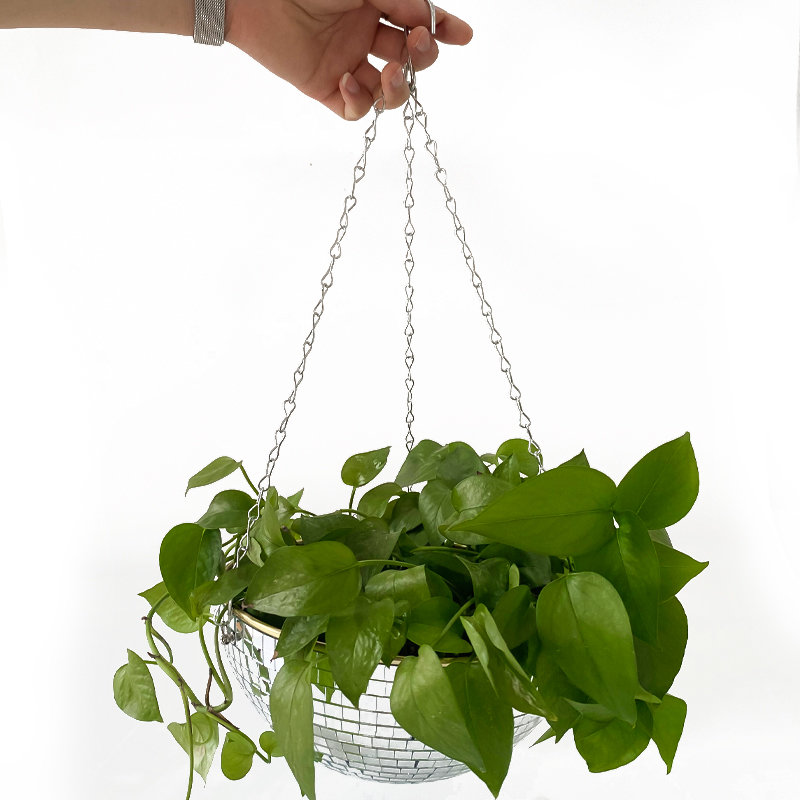 Maceta Colgante con Espejo Est - Hanging Planter Basket reseña y precio