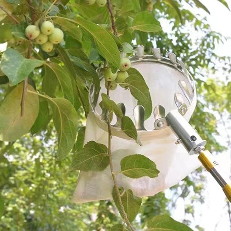 Herramienta Profesional para R - Gardening Tools Basket reseña y precio
