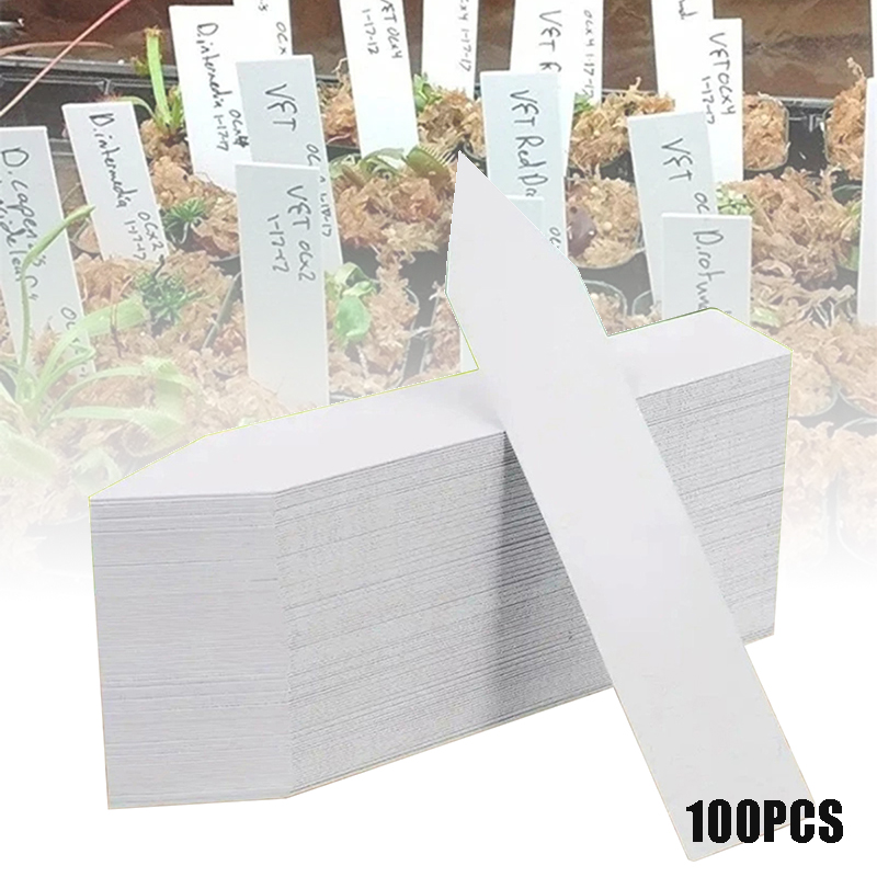 100 Uds. Etiquetas para planta - Gardening Tools Labeled reseña y precio