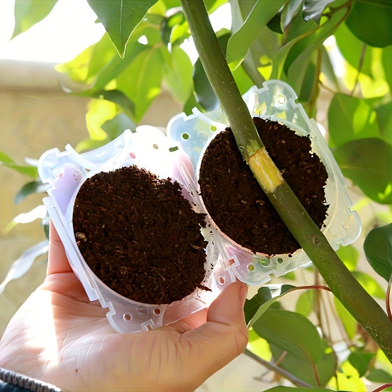 Kit de 10 Piezas para Propagac - Gardening Tools Equipment reseña y precio