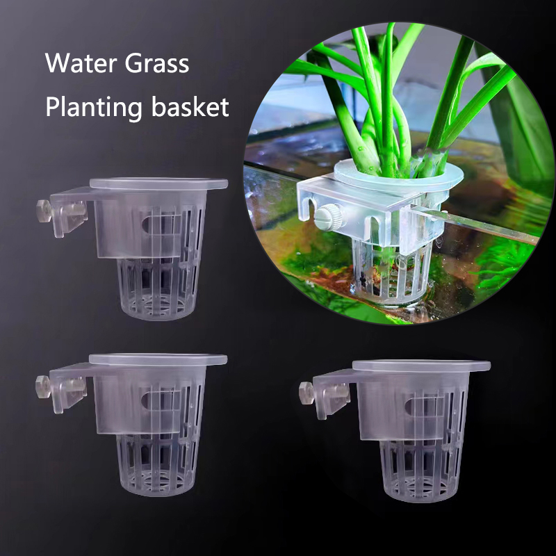 Cesta de plantación de acuario - Hanging Planter Basket reseña y precio