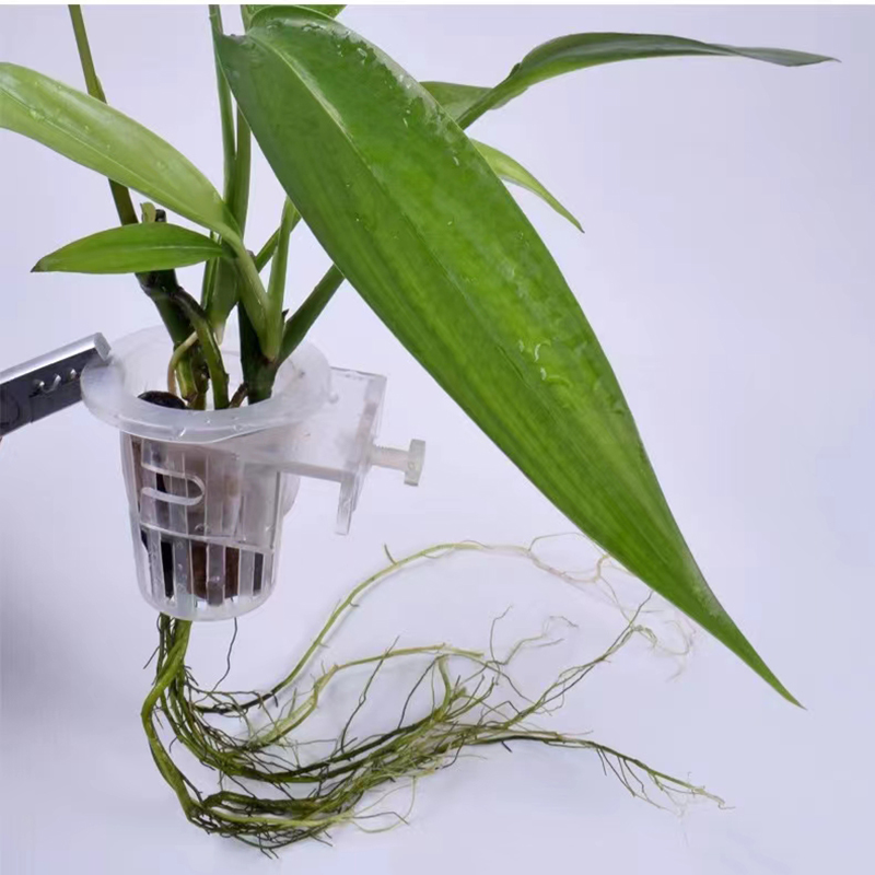 Cesta de plantación de acuario - Hanging Planter Basket reseña y precio