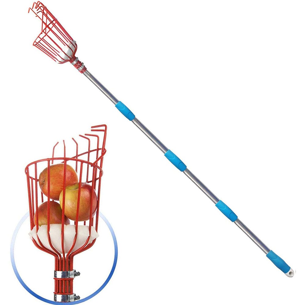 Recolector de Frutas de 260 cm - Gardening Tools Basket reseña y precio
